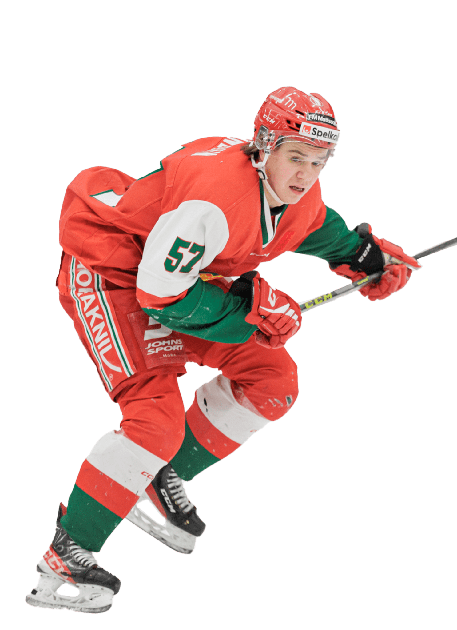 William Lindgren 2400x3308px profile picture