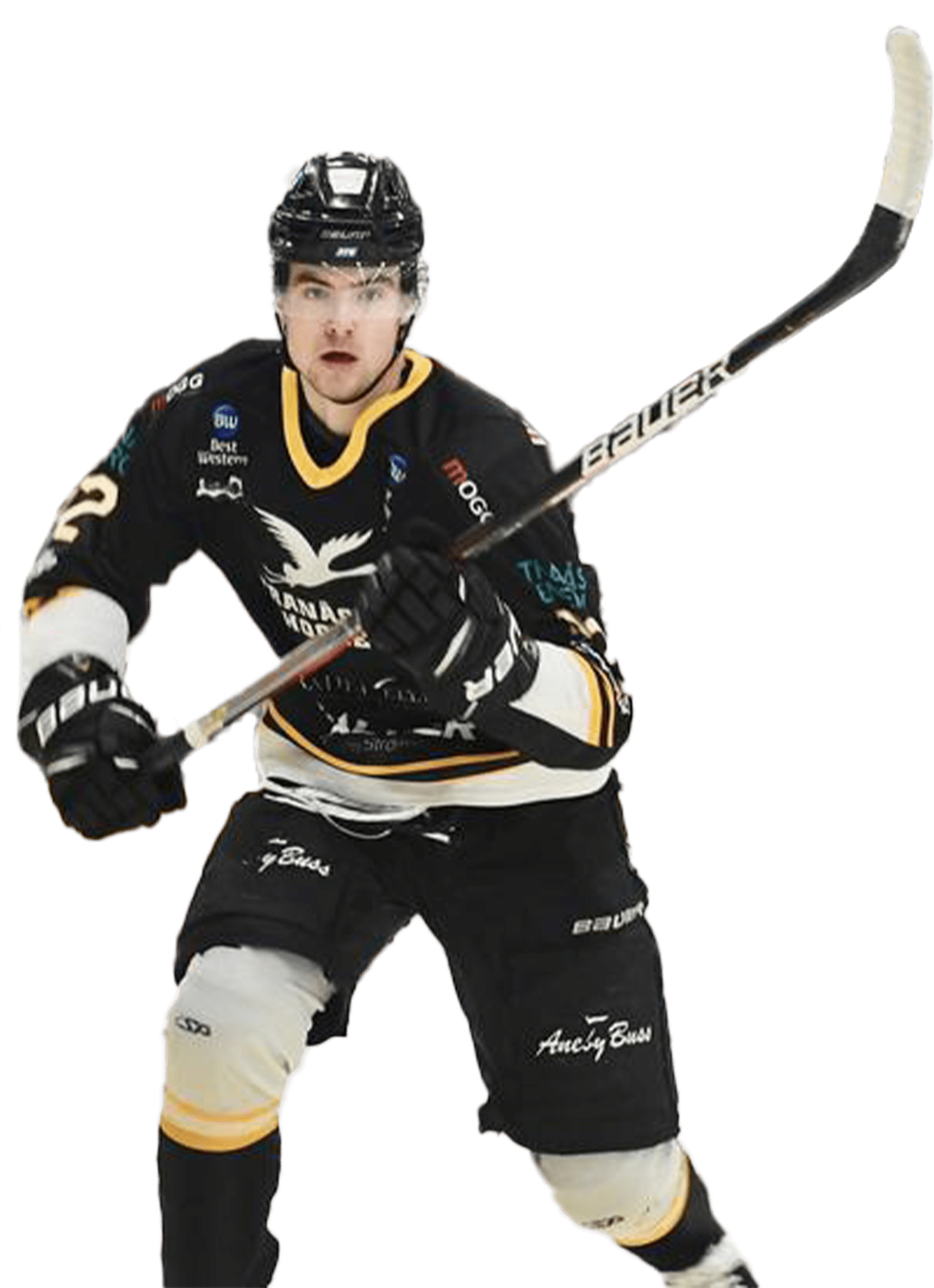 William Eriksson Player Profile 2400x3308px